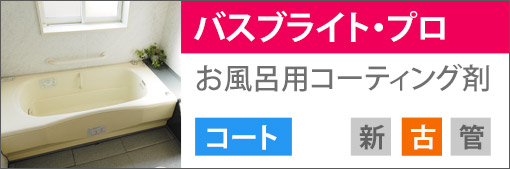 �o�X�u���C�g�v��